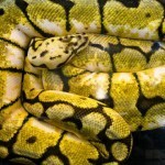 26880_10150184897830305_741015304_11941075_7229445_n