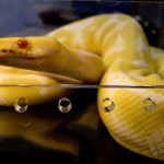 26880_10150184897765305_741015304_11941066_2783498_n