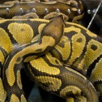 26880_10150184897780305_741015304_11941068_4484084_n