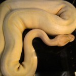 26880_10150184897790305_741015304_11941069_5066796_n