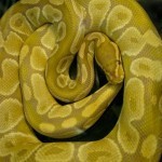 26880_10150184897805305_741015304_11941072_1369109_n