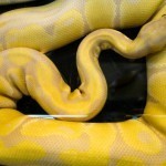 26880_10150184897825305_741015304_11941074_3868085_n