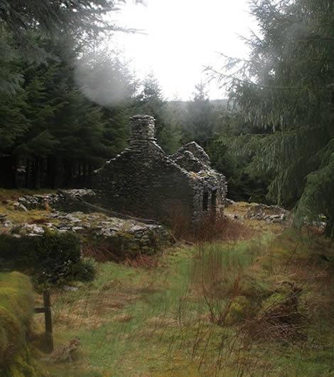 The original cottage photograph, taken by Martin Mackenzie
