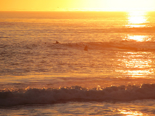 Surfers at Sunset