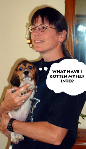 Connery Puppy Comes Home