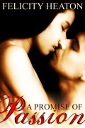 A Promise of Passion - Paranormal Vampire Romance E-book