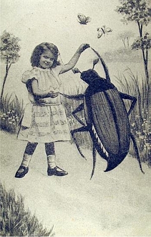 bug dance
