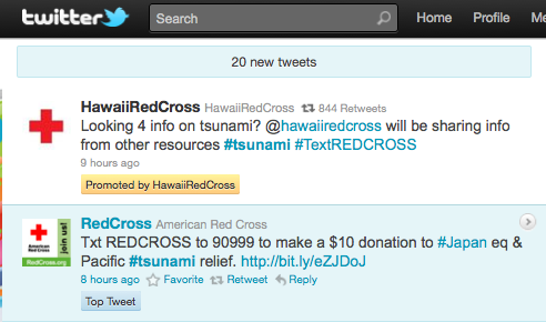 redcross japan tsunami