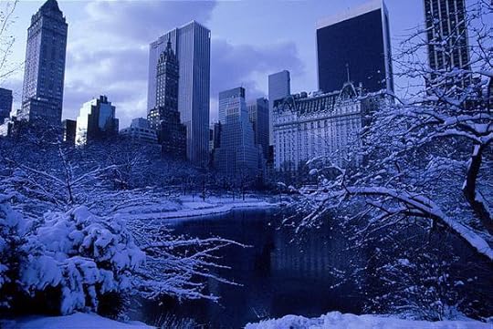 http://newyorkcity-newyork-guide.com/images/gallery/central_park_snow.jpg