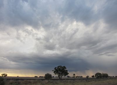 IMG_1054