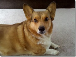 Concerned Chloe (2)