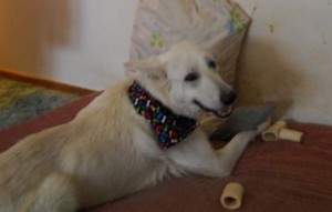 Tristan with his toys