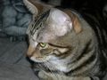 DSCN0005_0002
