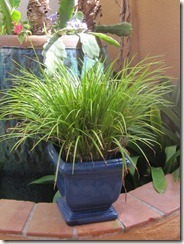 bluepot