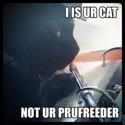 I is ur cat not ur prufreeder