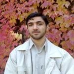 رضا امینی هرندی