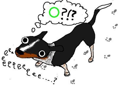 Drawing by allie brosh