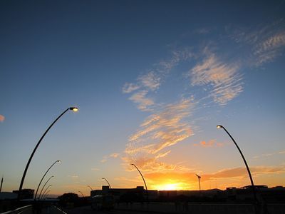 IMG_1190