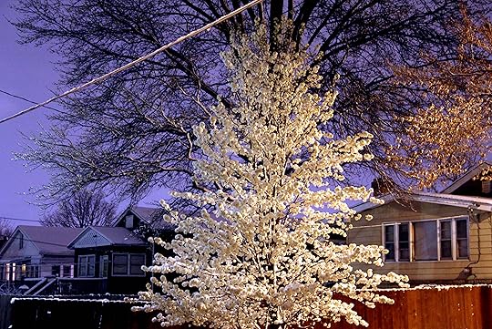 march-snow-2011.jpg
