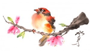 oriole3