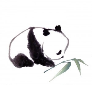 panda1a