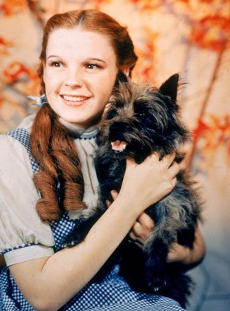 Dorothy and Toto