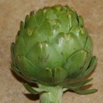 artichoke 2