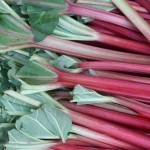 Rhubarb1