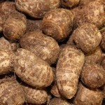 taro