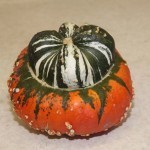 squashturban2