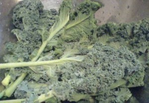 Kale leaves, fully washed and de-gritted