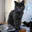 Image of RainyDayInterns