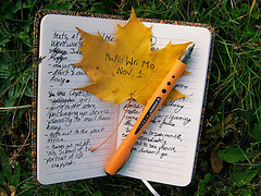 240/365 National Novel Writing Month begins