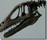 dinosaur