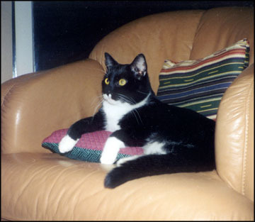 Fred Holding Court II