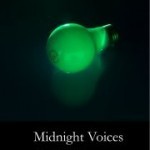 Midnight Voices by Deborah Ager