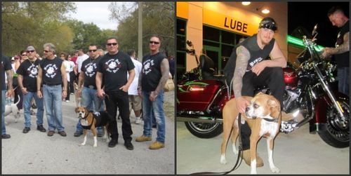 Cosmo_Rescue Ink Collage