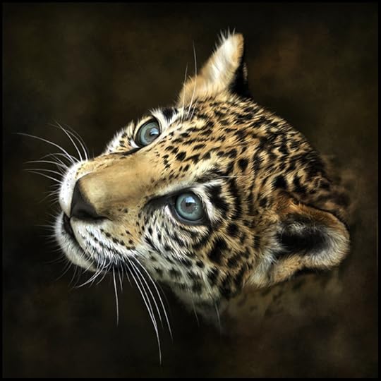 http://digital-art-gallery.com/oid/0/800x800_191_Jaguar_Cub_2d_realism_kitten_cat_jaguar_picture_image_digital_art.jpg