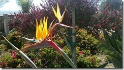 2011-04-04_15-24-14_919 day 2