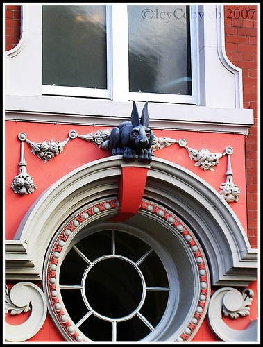 Vampire Rabbit