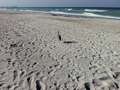 IMG_0601