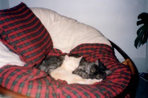 April 1995