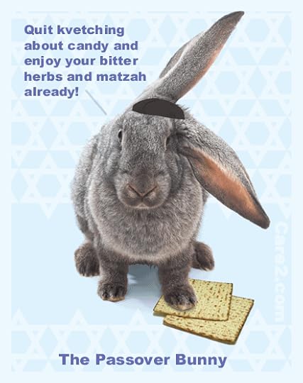Passoverbunny