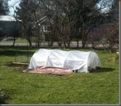 2011-hoop.house