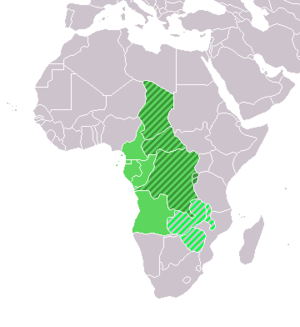 Central Africa Middle Africa (UN subregion) Ce...