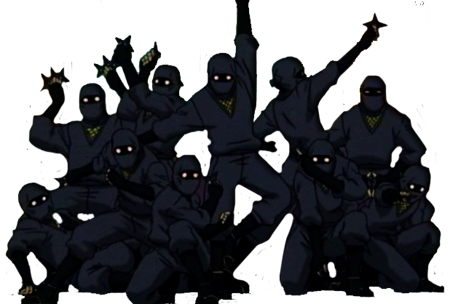 Everything is fun if you just add Ninjas