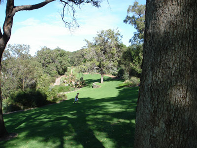 park 11 Swancon 36, Natcon 50 the report