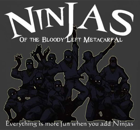Everything is more fun when you add Ninjas