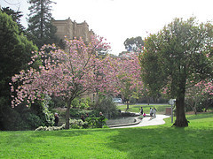 Springtime at the Palace