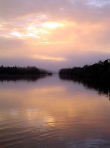 517281_nascer_do_sol